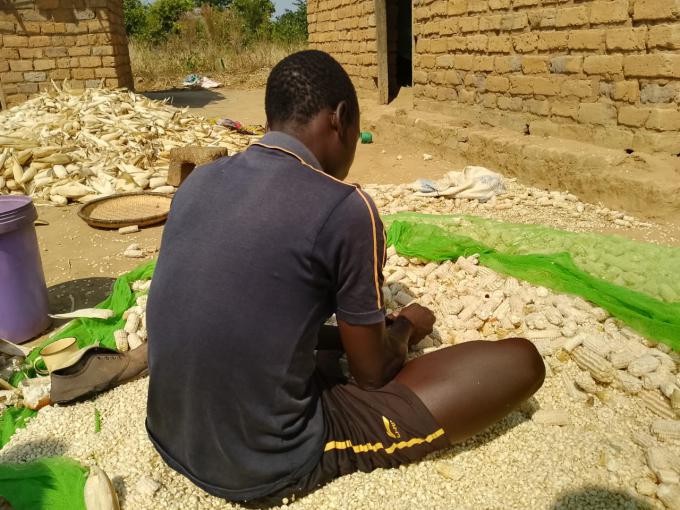 After being saved from child labor, Chikumbutso contributes to his household by shelling maize. Efforts by the Child Protection Committee are giving him a second chance at education and a brighter future